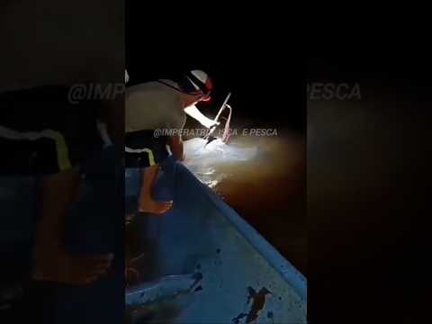 Pescando no Rio Tocantins / Imperatriz Maranhão