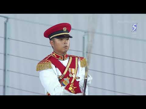 Singapore National Day Parade 2014 (NDP 2014) - TD30 Dynamic Defence Display segment