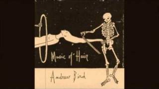Andrew Bird - Nuthinduan Waltz
