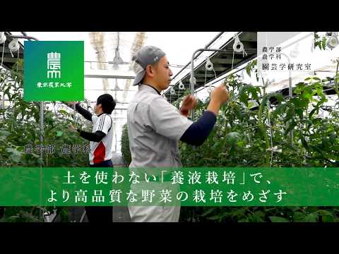 農学部 農学科 園芸学研究室紹介