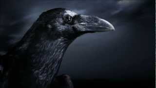 The Three Ravens (Jack the Ripper) HD - Lyrics