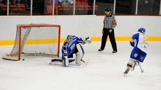 preview picture of video 'Hull Stingrays v Fife Flyers'