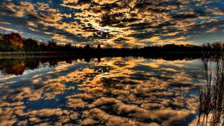 Feel It All   MARGARET BECKER