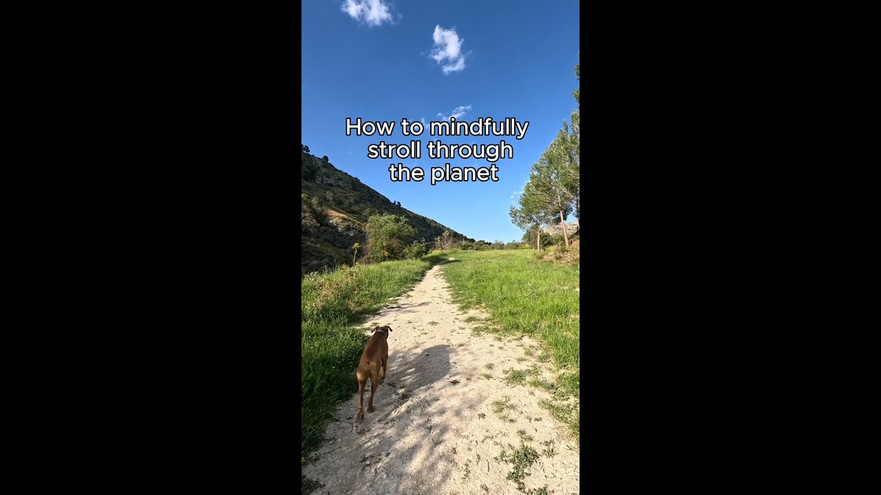 Tips for a Mindful Earth Day