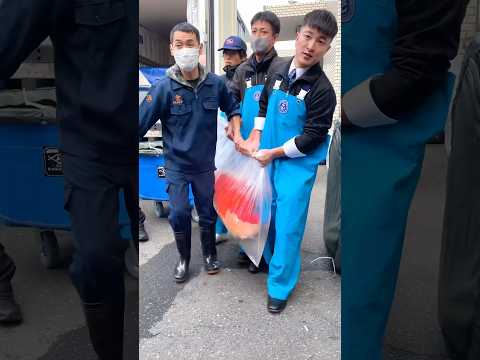 World’s Best Japanese Koi?! Needs 4 to Lift 🤯