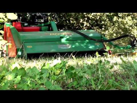 Ernte 2016 DEUTSCHLAND-GIAMPI MACHINERY