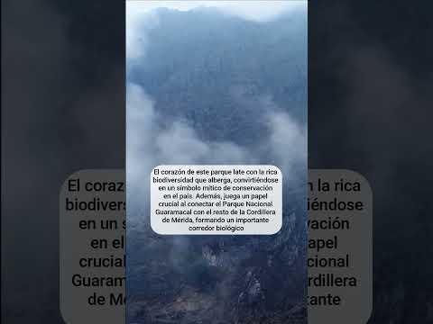 Parque Nacional José Gregorio Hernandez en Barinas  #barinas  #parquenacional  #naturelovers