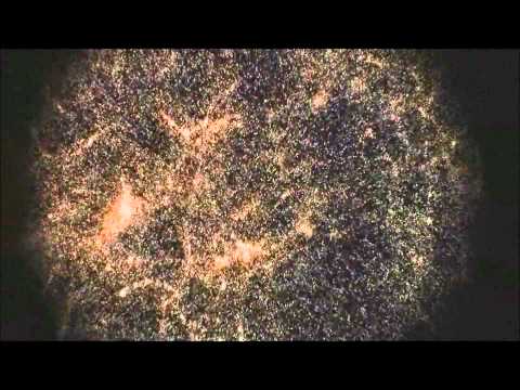 The Detailed Universe + Techno/Trance - Infinite Gate