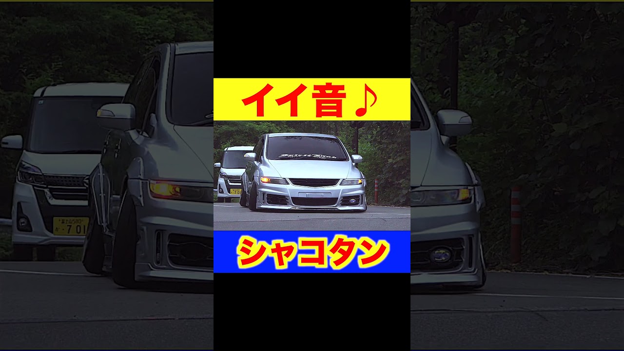 低さ×サウンドが神。極低シャコタン🔥