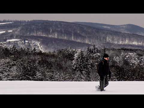 looking for loveland