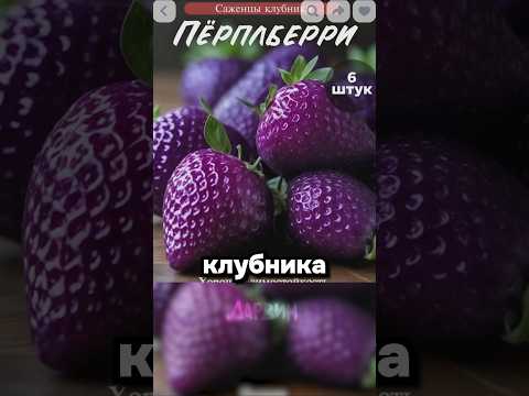 Клубничный скам