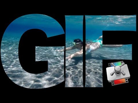 download lagu mp3 mp4 Final Cut Export Gif, download lagu Final Cut Export Gif gratis, unduh video klip Final Cut Export Gif
