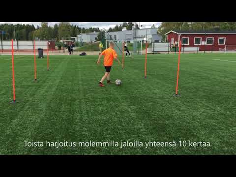 Kuljettaminen + Harhautus: Vartaloharhautus