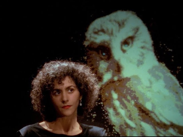 THE OWL'S LEGACY Trailer