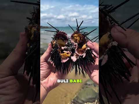 Berburu Seafood Segar Dari Laut #short