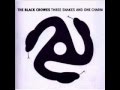 Black Crowes - (Only) Halfway To Everywhere