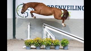 Springen & bewegen