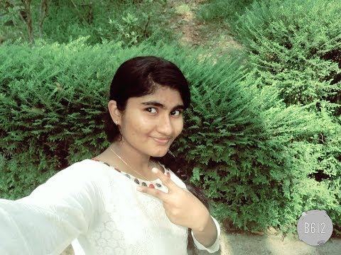 S. P. Deekshana (Artist)