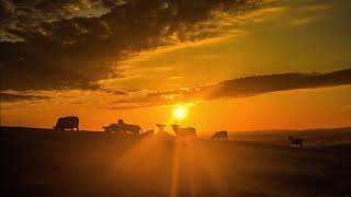 Nana Mouskouri &amp; Gheorghe Zamfir - The Lonely Shepherd (나나 무스쿠리 &amp; 게오르기 잠피르- 외로운 양치기)