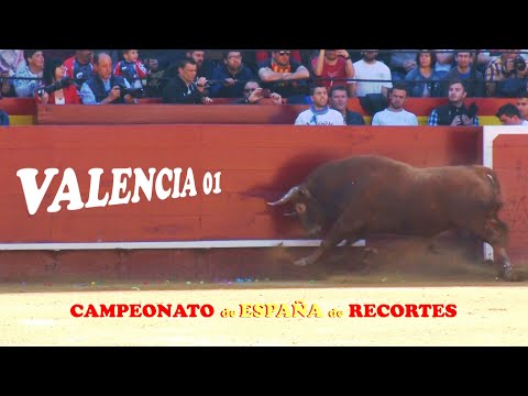 ✅2019 VALENCIA 01◾ FALLAS Campeonato España de Recortes