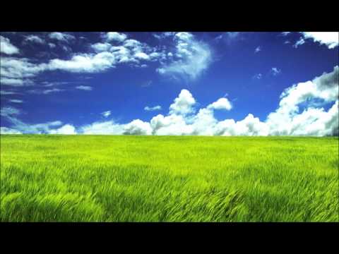 Sunleed - Suspended Animation