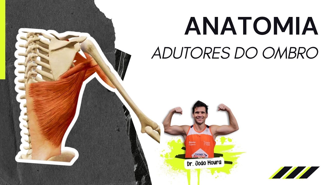 Músculos que fazem a Adução do Ombro - Anatomia
