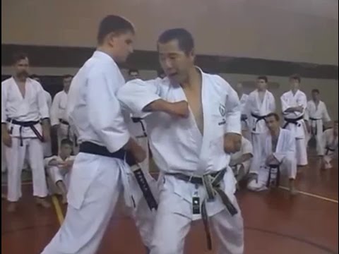Karate Shotokan Course Rusia JKS Kagawa Sensei Kihon & Kata