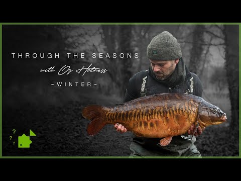 Through the Seasons | Winter Carp Fishing | Oz Holness | 4K