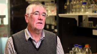 Water Microbiology 05 Indicator Organisms