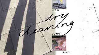 New Long Leg Music Video