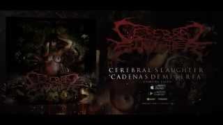 Cerebral Slaughter - Cadenas De Miseria EP Teaser Trailer