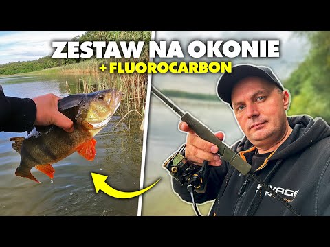 NA TEN ZESTAW ZŁOWISZ OKONIE na KAŻDEJ WODZIE