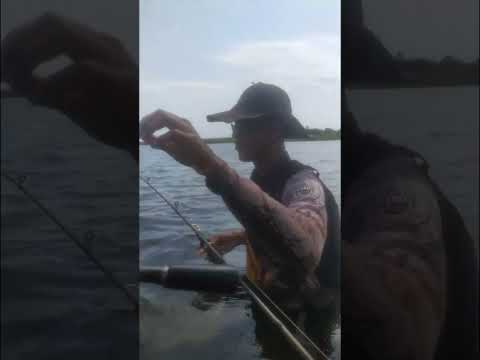 Pescaria em Furnas na água de côco Araporã Minas Gerais.