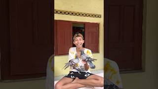 Download lagu BURUNG MERPATI BOBY LEPAS mp3