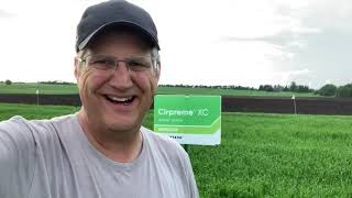 Everything You Need to Know and See with Cirpreme XC - Protecting Barley Crops