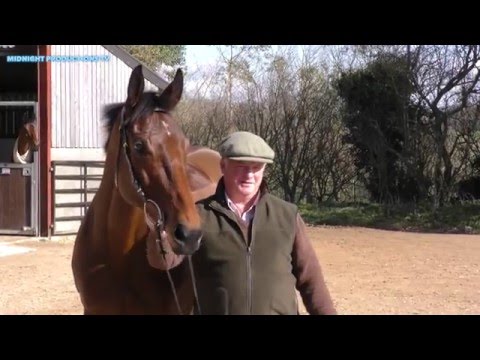 Colin Tizzard, Thistlecrack - World Hurdle 2016