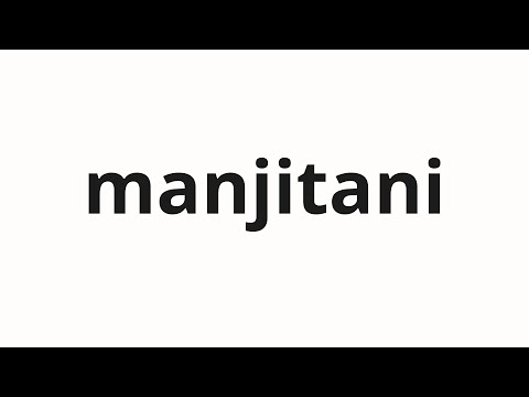 How to pronounce manjitani | 卍谷 (Swastika valley in Japanese)