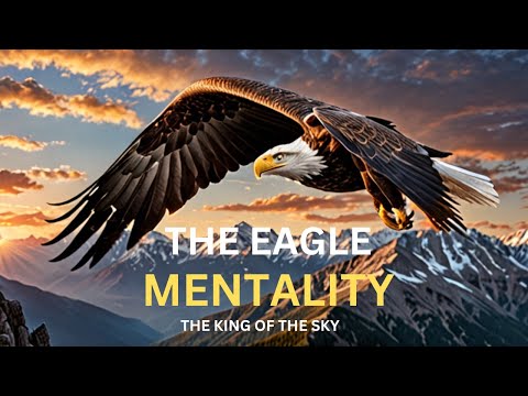 Unleash Your Inner Eagle: Elevate Your Life with a Powerful Attitude |PERSONAL EVOLVE | MOTIVATION