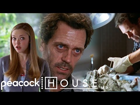 Grave Digging For Cats | House M.D.