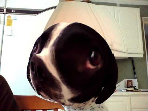 Sidechainerz - Right Here (John Holmgren Eurodance Edit)