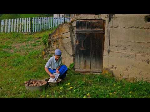 Living Alone in the Mountains: Her Daily Life and Work