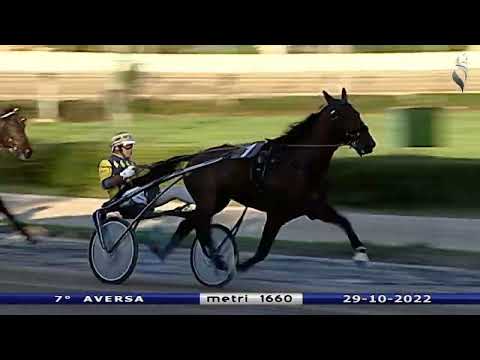 Aversa trotto 29 Ottobre 2022 - 7° Corsa