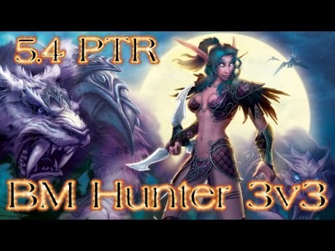 5.4 BM Hunter PvP (1080p) Hunter Monk Disc 3v3 Arenas w/ Xuen - World of Warcraft BattleMasterPvP