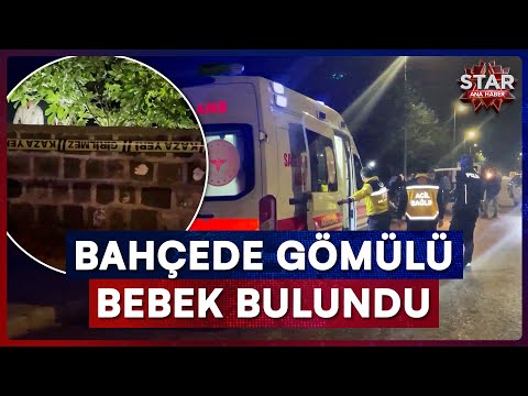 A baby's body was found buried in a mosque garden | Star Main News