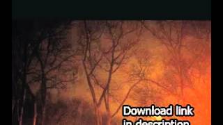 Anna Calvi   Ghost Rider