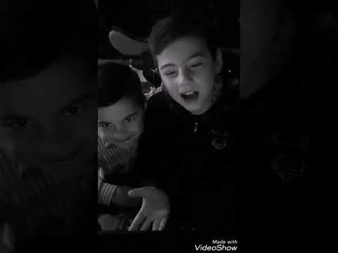 ლექსი. ძამიას ულოცავ დაბადების დღეს