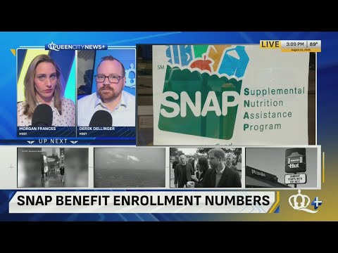 Enrollment in SNAP grocery aid is dropping faster than ...