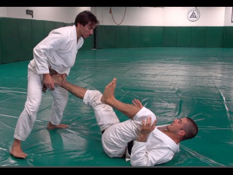 Street Defense Mastery Seminar (Rener Gracie)