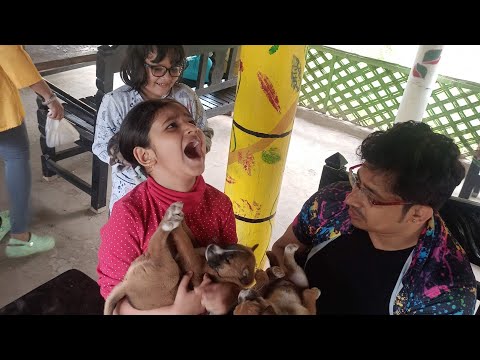 Hemnalini & Aritri's affection for puppies multiply a thousand fold in Tour de Sundarban resort.