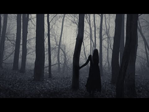 Vile ili nešto drugo?!